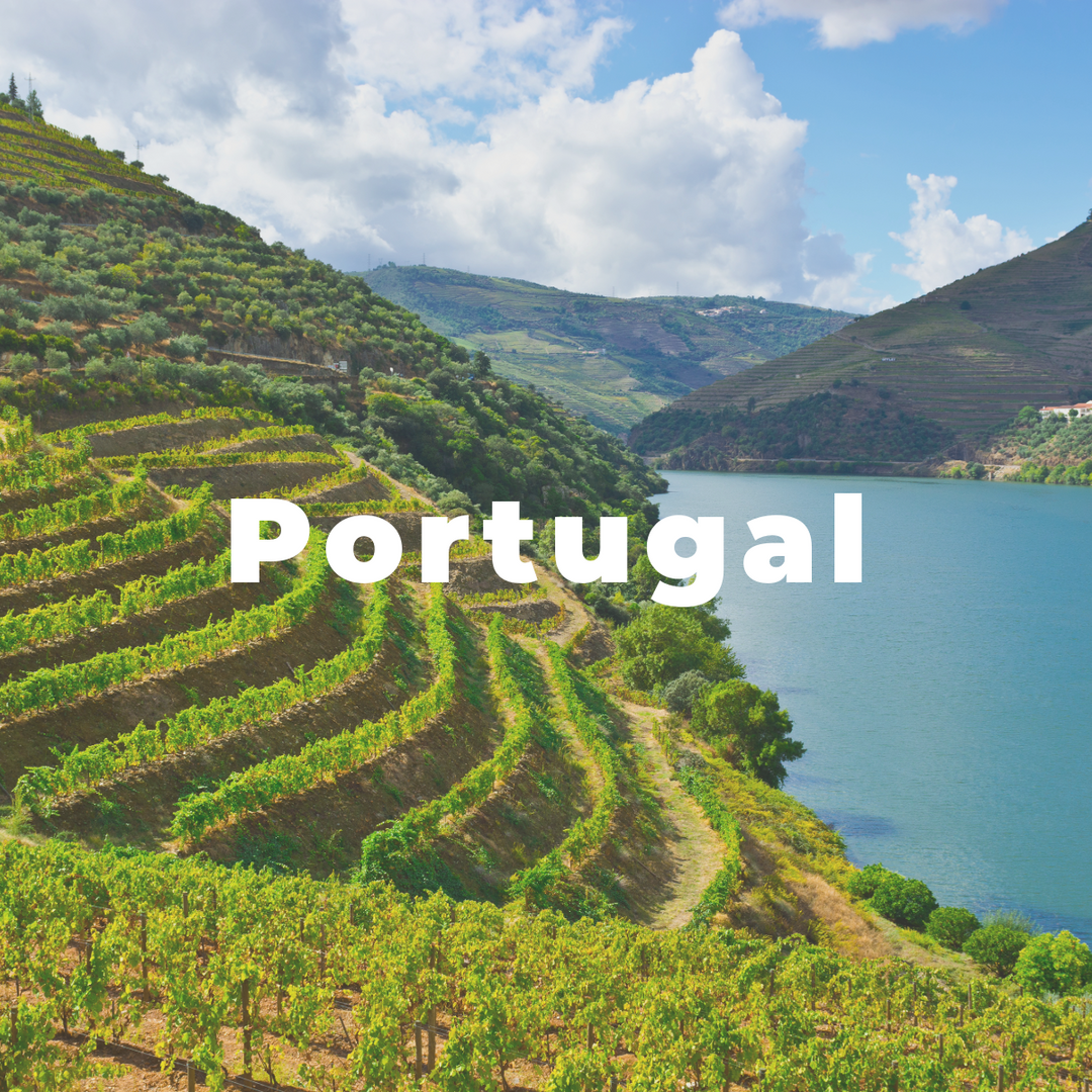 Portugal Wine