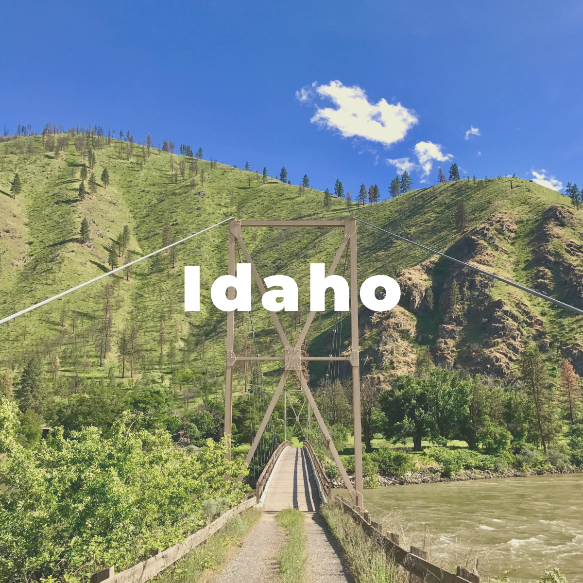Idaho Wines