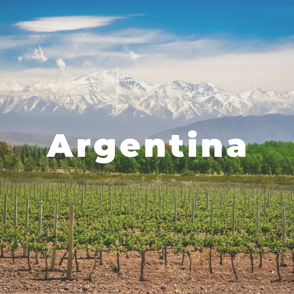 Argentina Wines