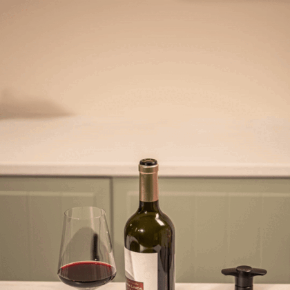 Original Wine Saver Black with 1 stopper