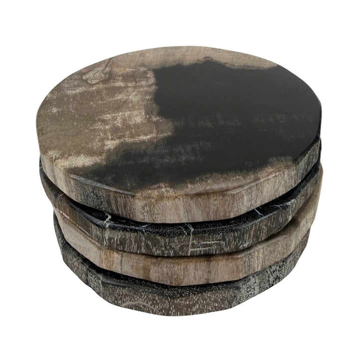 Smooth Edge Petrified Wood Coaster Set: Black