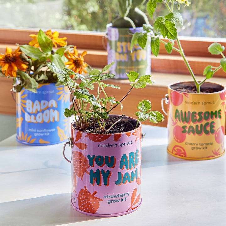 Complimentary Color Grow Kits: Awesome Sauce