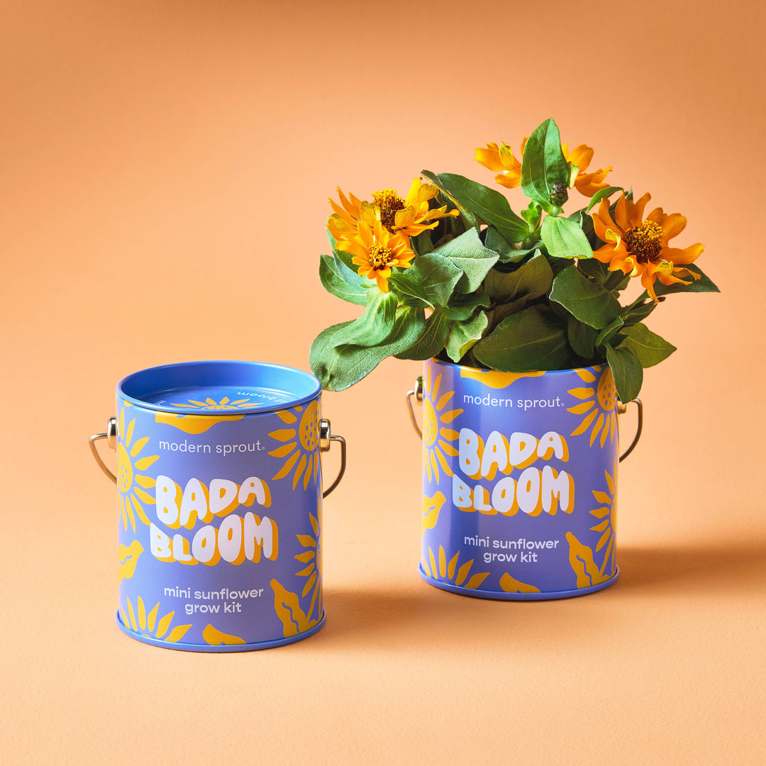 Complimentary Color Grow Kits: Stay Zen Friend