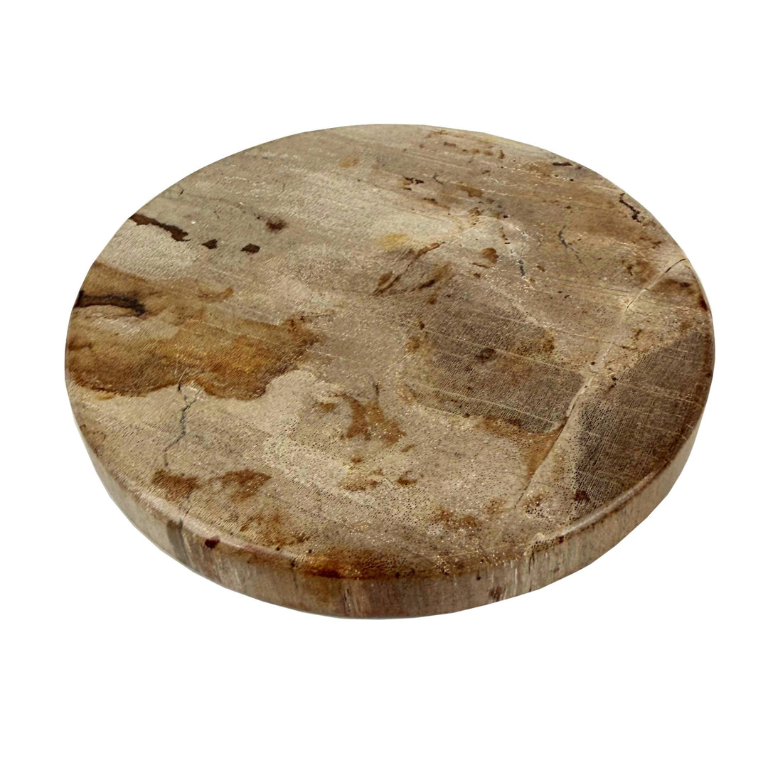 Smooth Edge Petrified Wood Coaster Set: Beige