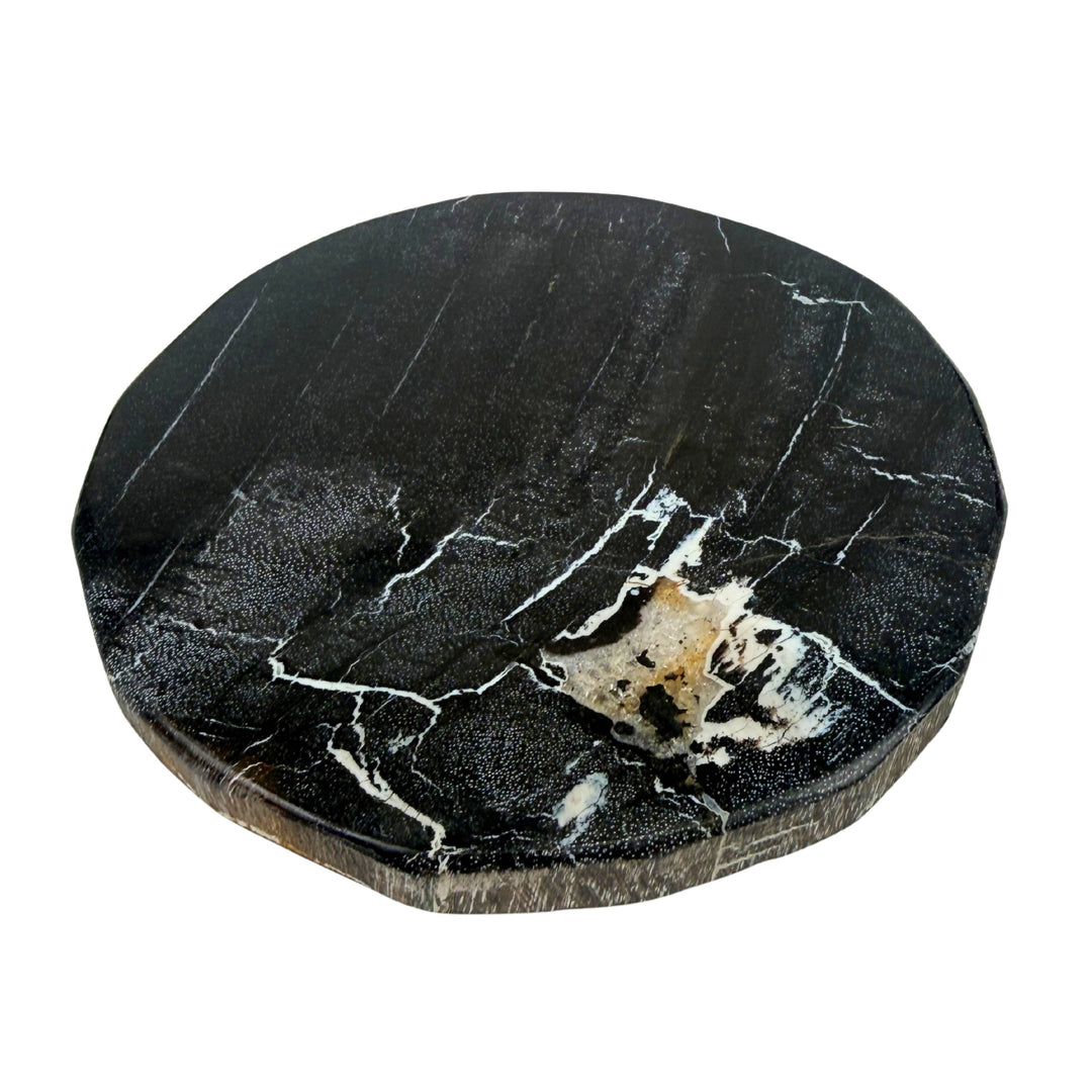 Smooth Edge Petrified Wood Coaster Set: Black