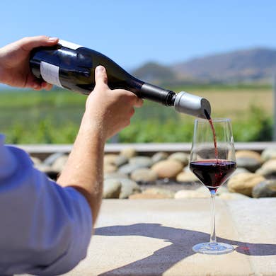 Wine Purifier & Aerator, The Wave® Single, Silver