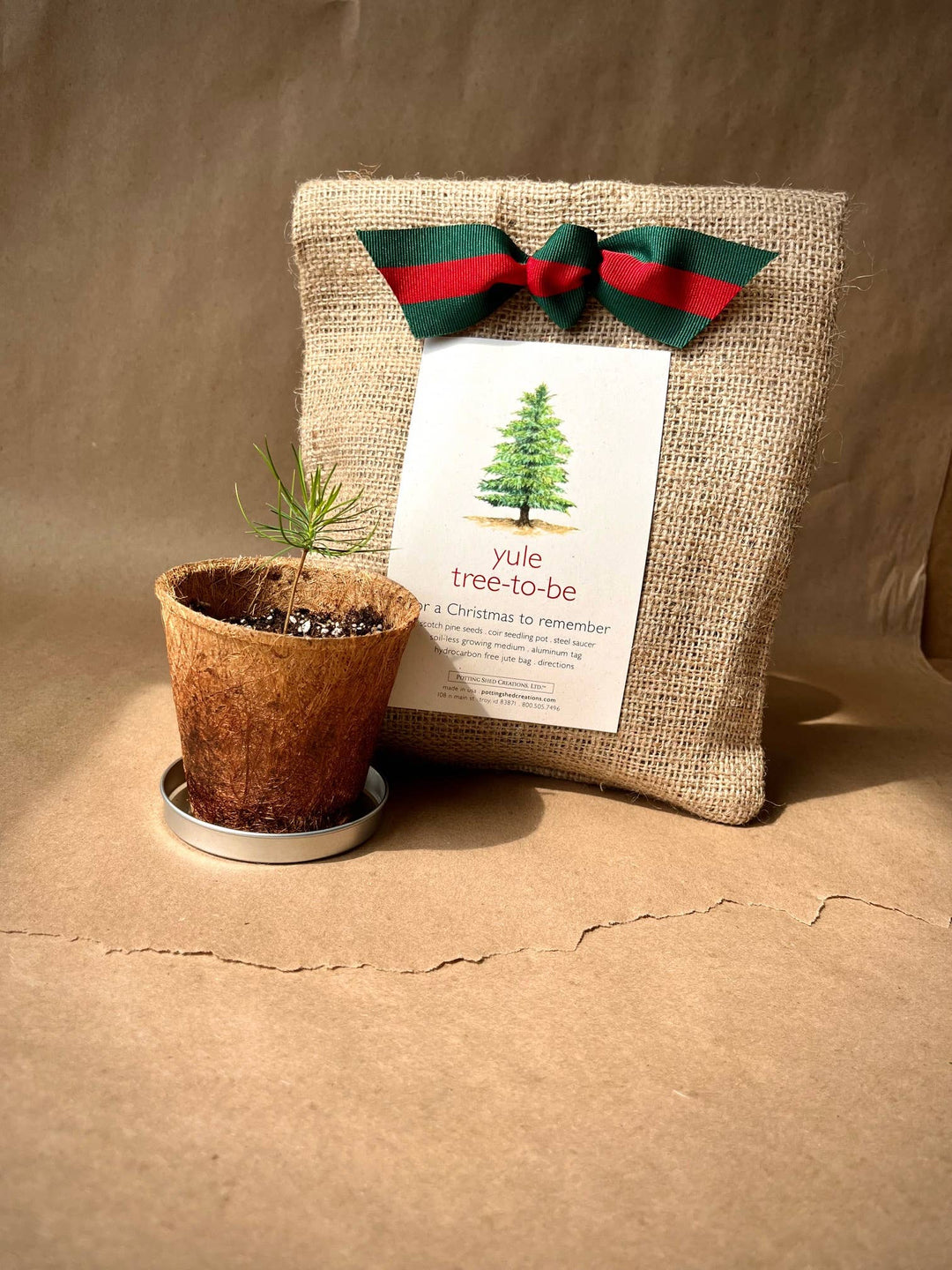 Christmas Tree to Be | Hostess gift | Holiday Parties