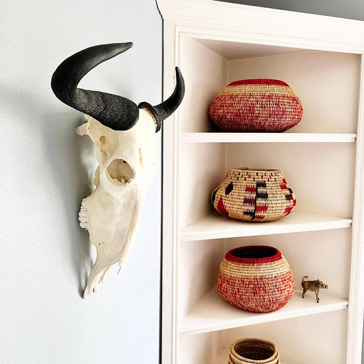 African Natural Wildebeest Horn - Full Skull