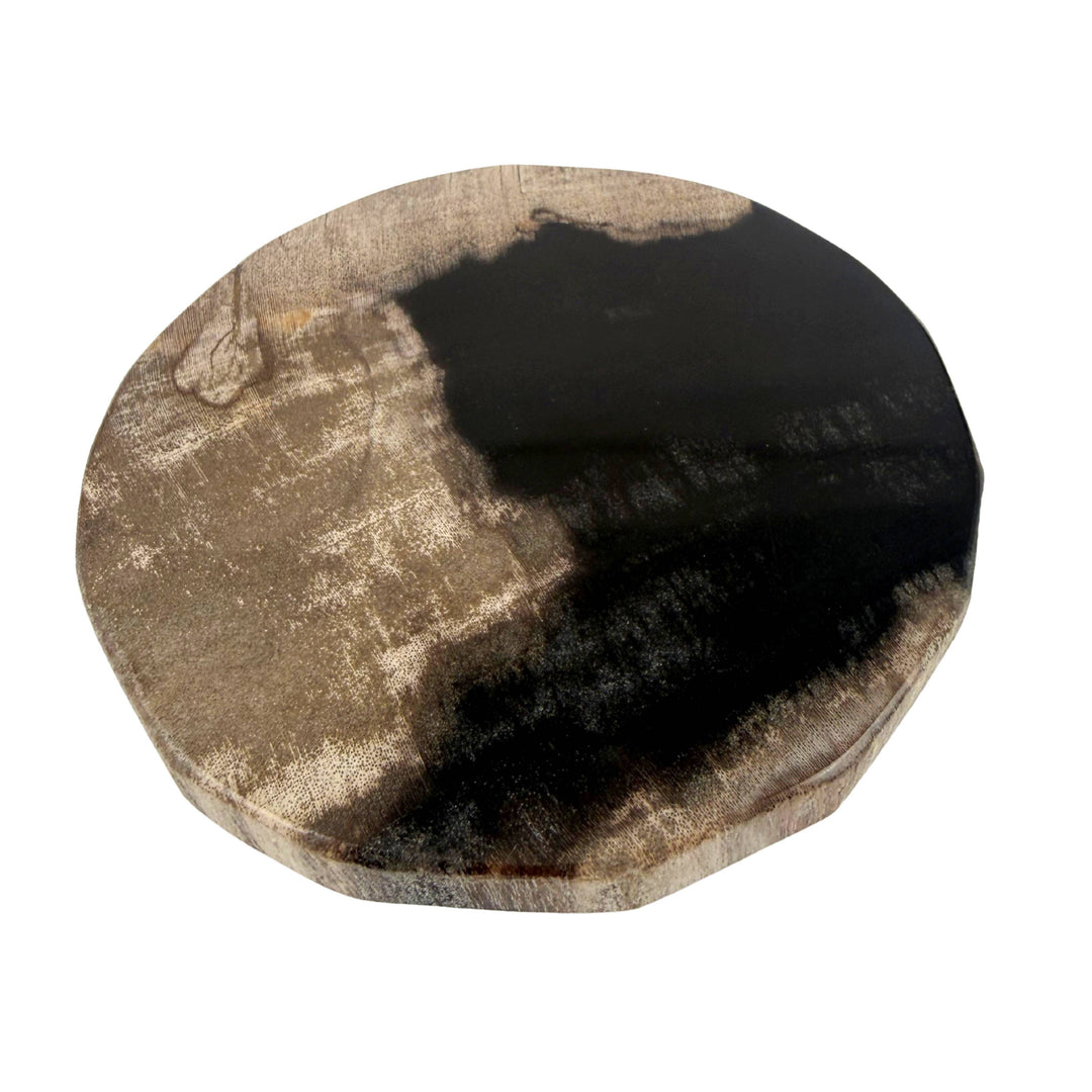 Smooth Edge Petrified Wood Coaster Set: Black