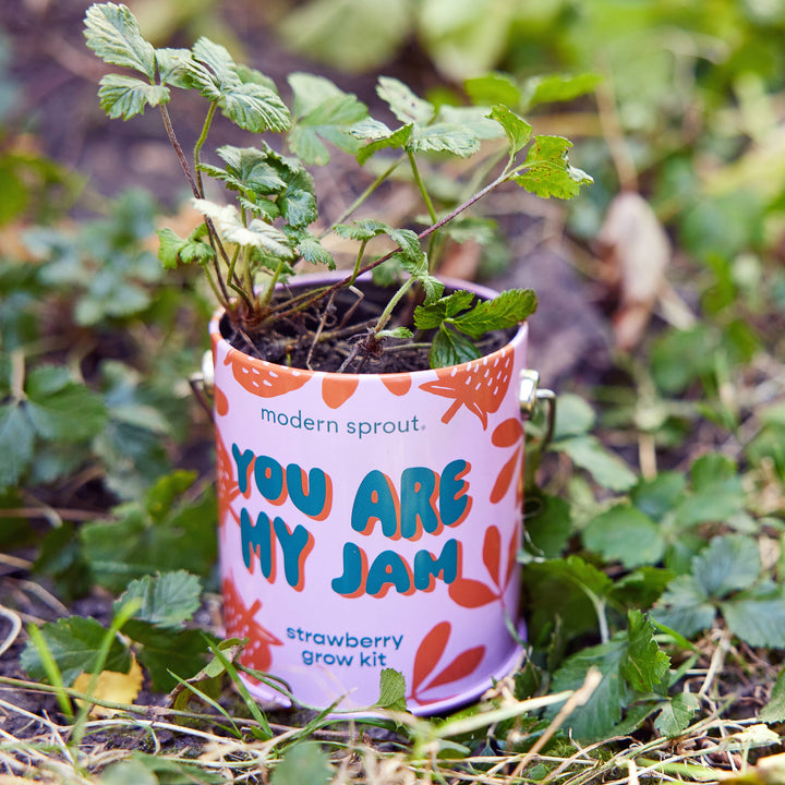 Complimentary Color Grow Kits: Stuck on You