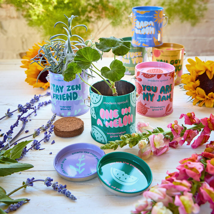 Complimentary Color Grow Kits: Awesome Sauce