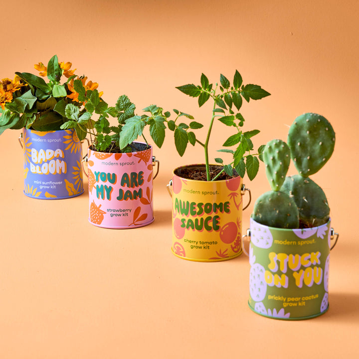 Complimentary Color Grow Kits: Stuck on You