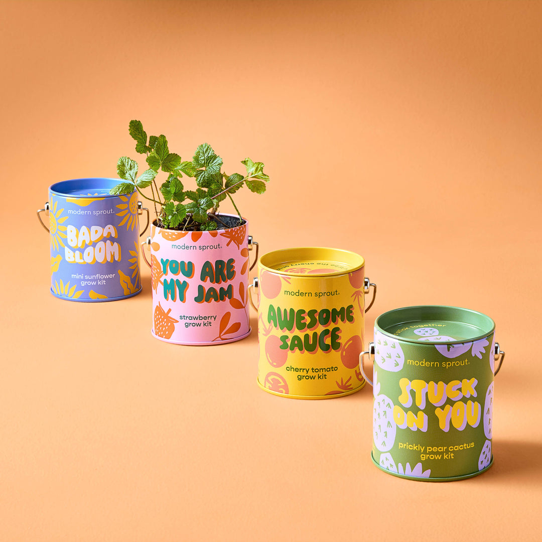 Complimentary Color Grow Kits: Stay Zen Friend