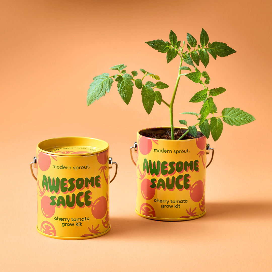 Complimentary Color Grow Kits: Stay Zen Friend