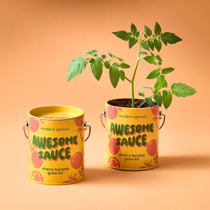 Complimentary Color Grow Kits: Awesome Sauce