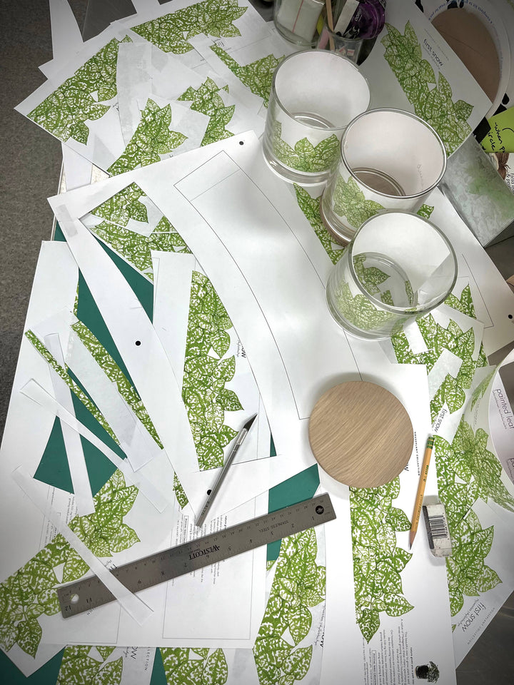 Houseplant Collection | First Snow | Polka Dot Plant