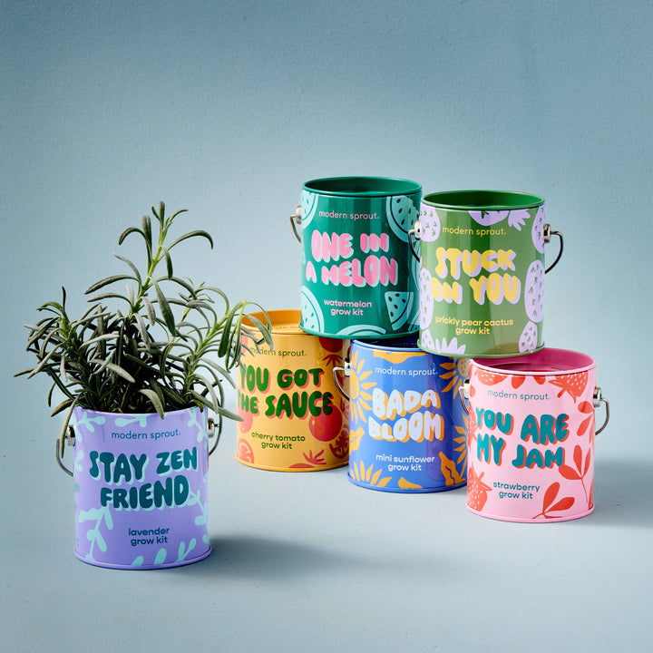 Complimentary Color Grow Kits: Stay Zen Friend