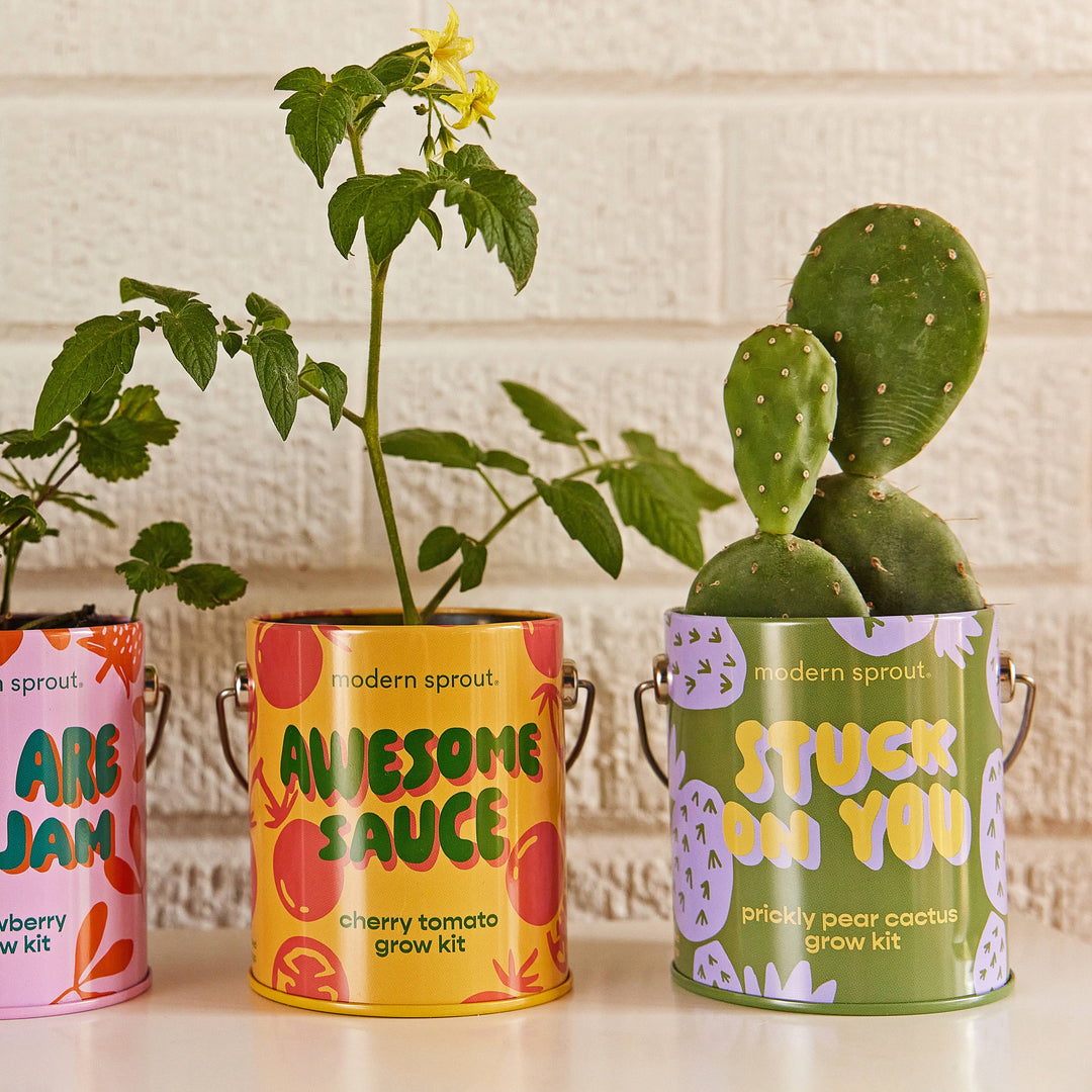 Complimentary Color Grow Kits: Stay Zen Friend