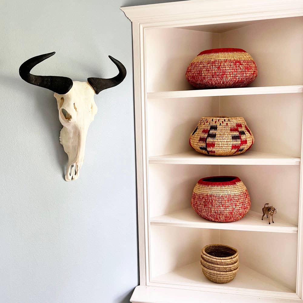 African Natural Wildebeest Horn - Full Skull
