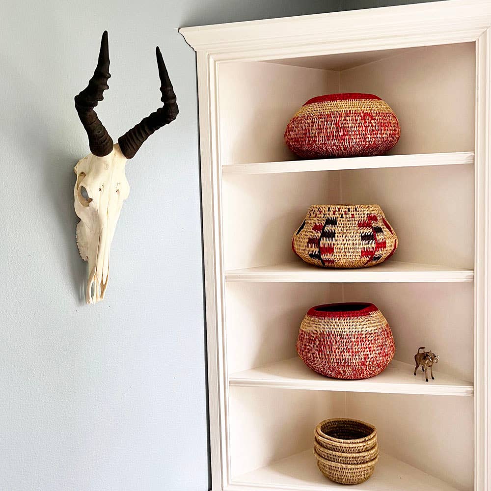 African Hartebeest Horn - Full Skull
