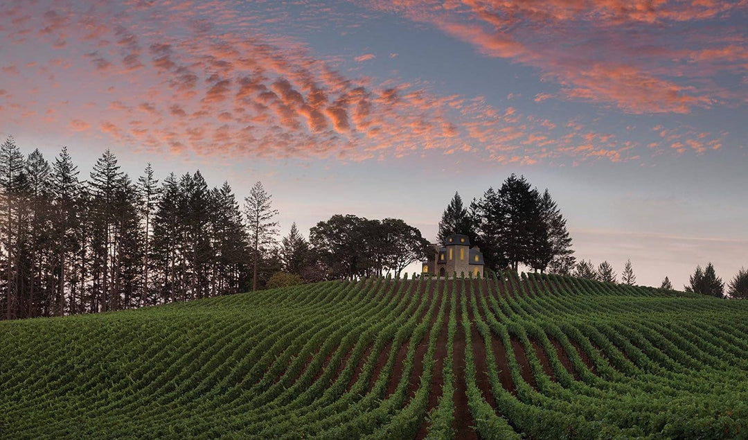 Red Wine: The Comprehensive Guide to the 50 Essential Styles