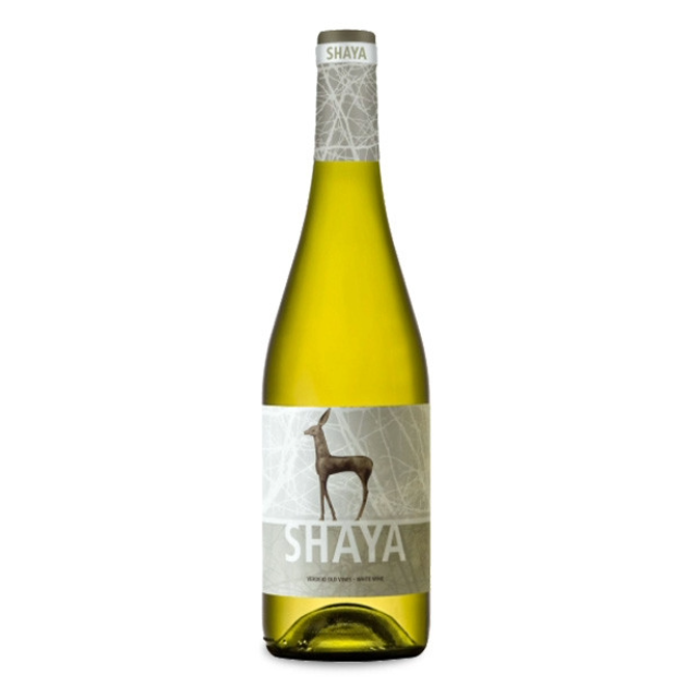 Shaya Verdejo, 2023