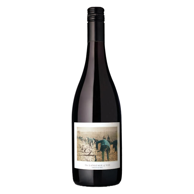 Language of Yes Grenache Rancho Real Vineyard, 2022