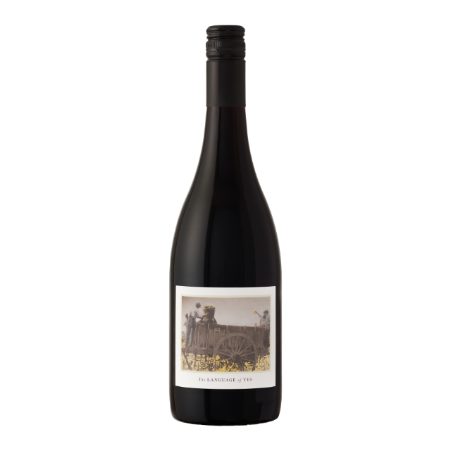 Language of Yes Syrah 2022