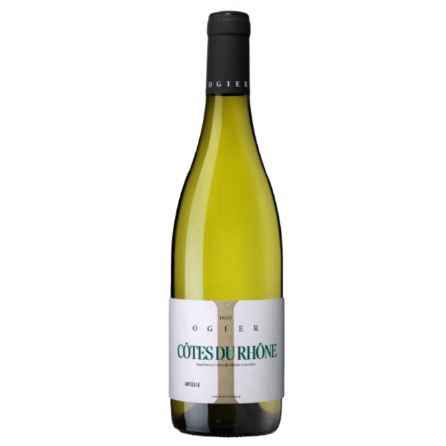Ogier Artesis Côtes du Rhône Blanc 2023
