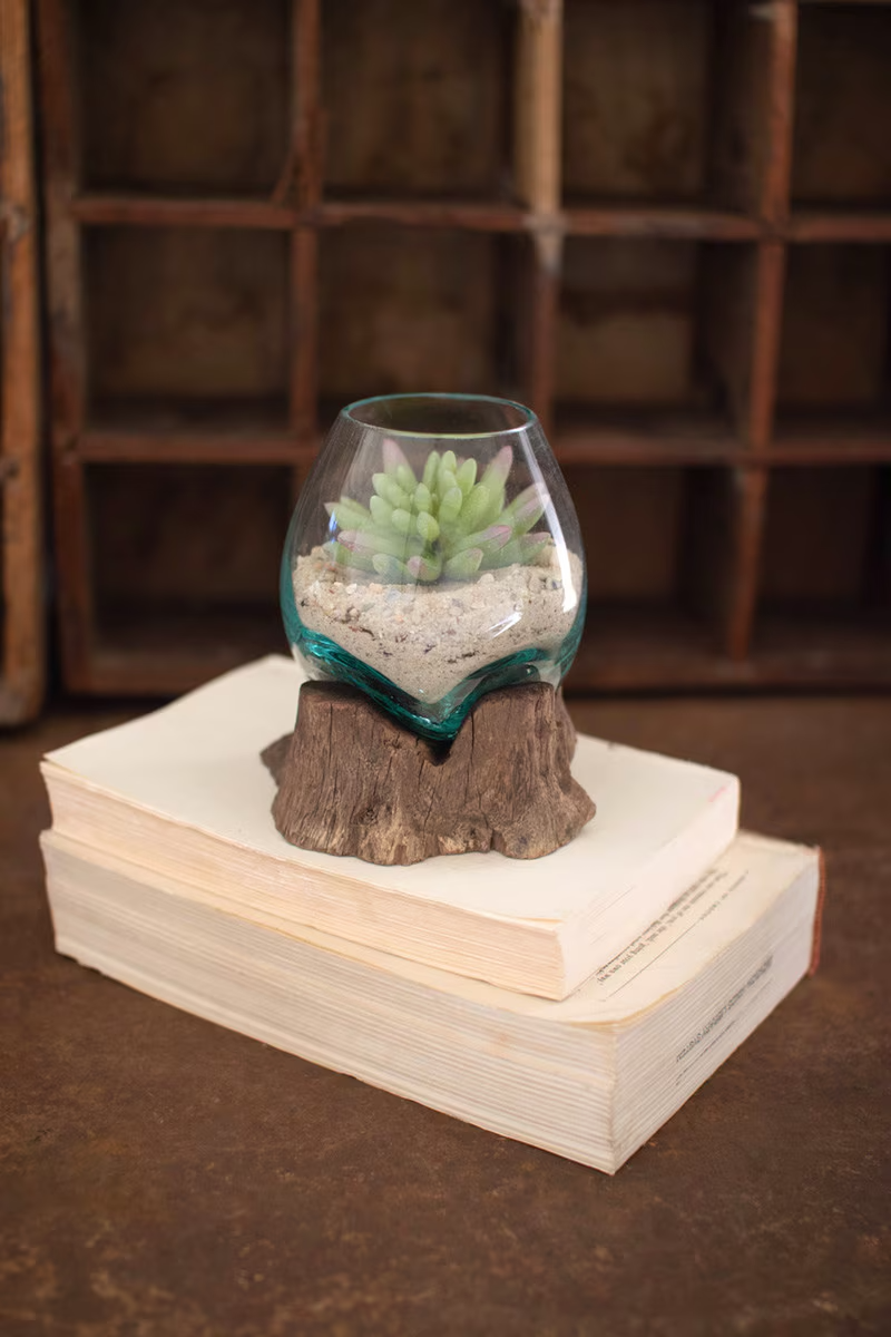 Small Blown Glass Bowl on Driftwood Base