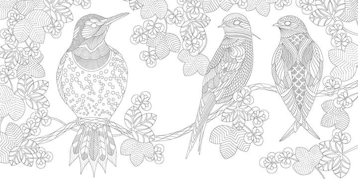 Millie Marotta Beautiful Birds and Treetops Coloring Book