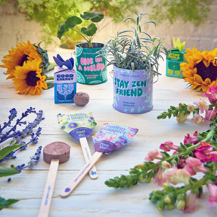 Seed Bomb Refresh (Singles): Party Vibes