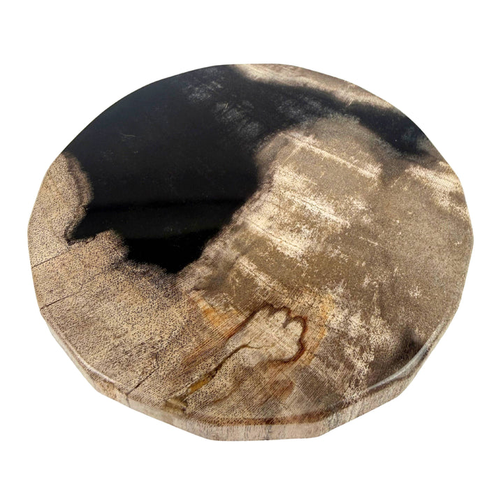 Smooth Edge Petrified Wood Coaster Set: Black