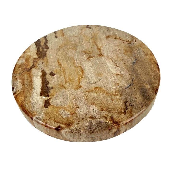 Smooth Edge Petrified Wood Coaster Set: Beige