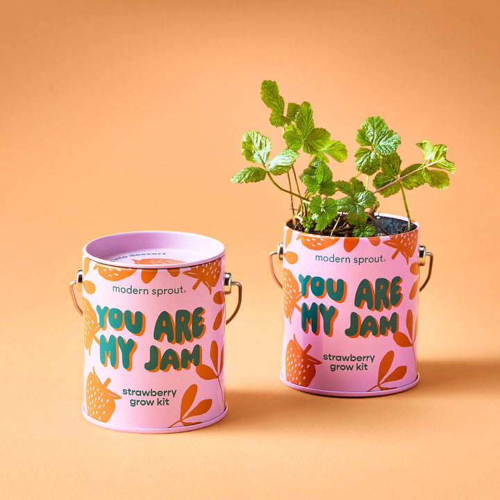 Complimentary Color Grow Kits: Awesome Sauce
