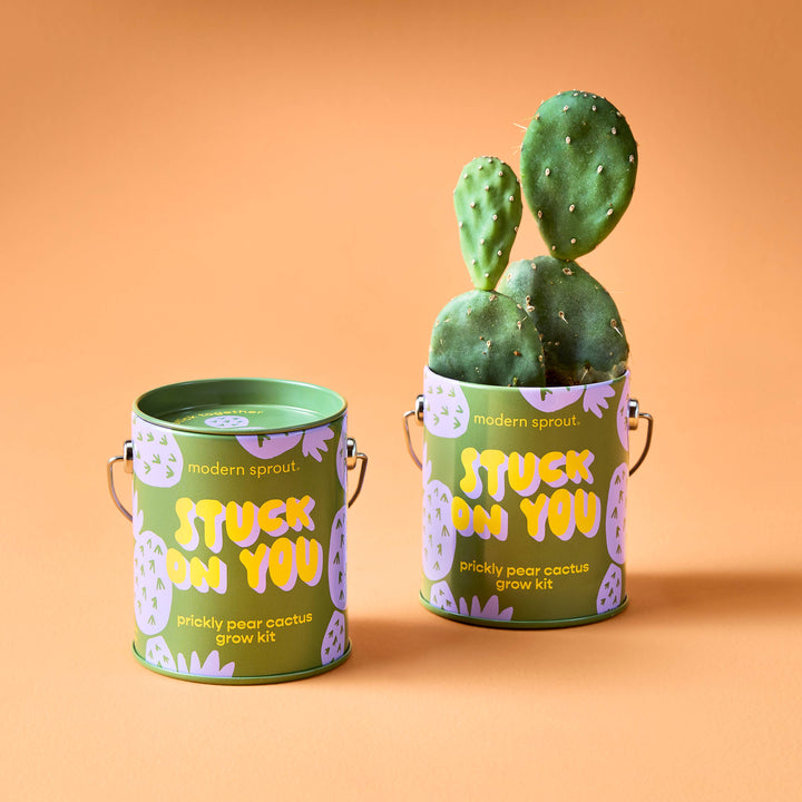 Complimentary Color Grow Kits: Stuck on You