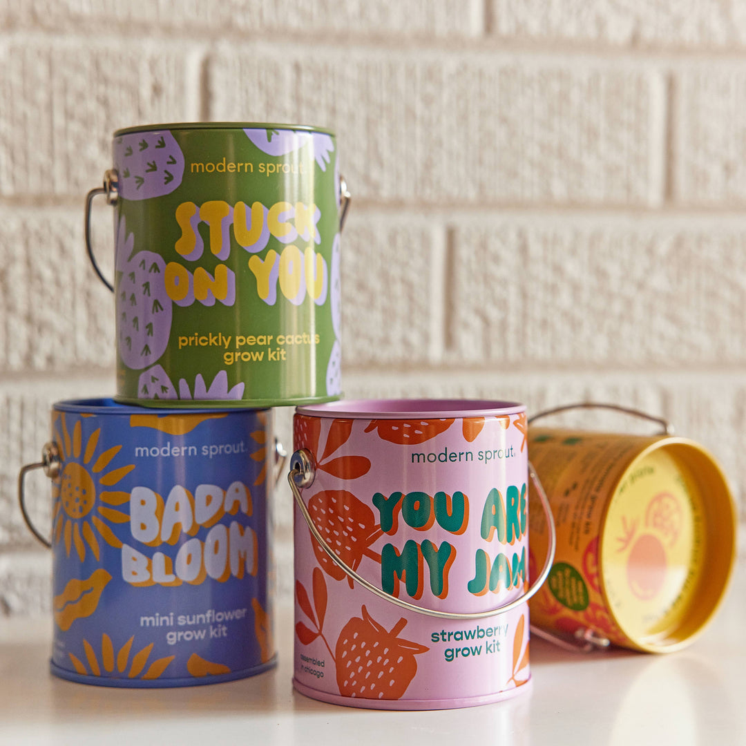 Complimentary Color Grow Kits: Stay Zen Friend