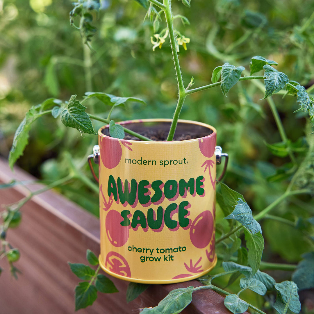 Complimentary Color Grow Kits: Stuck on You