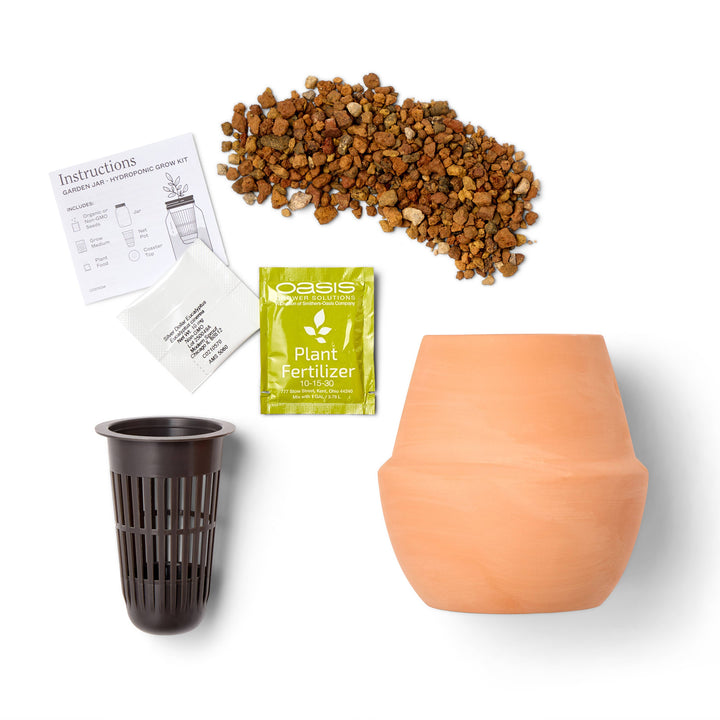 Terracotta Grow Kits: Bonsai