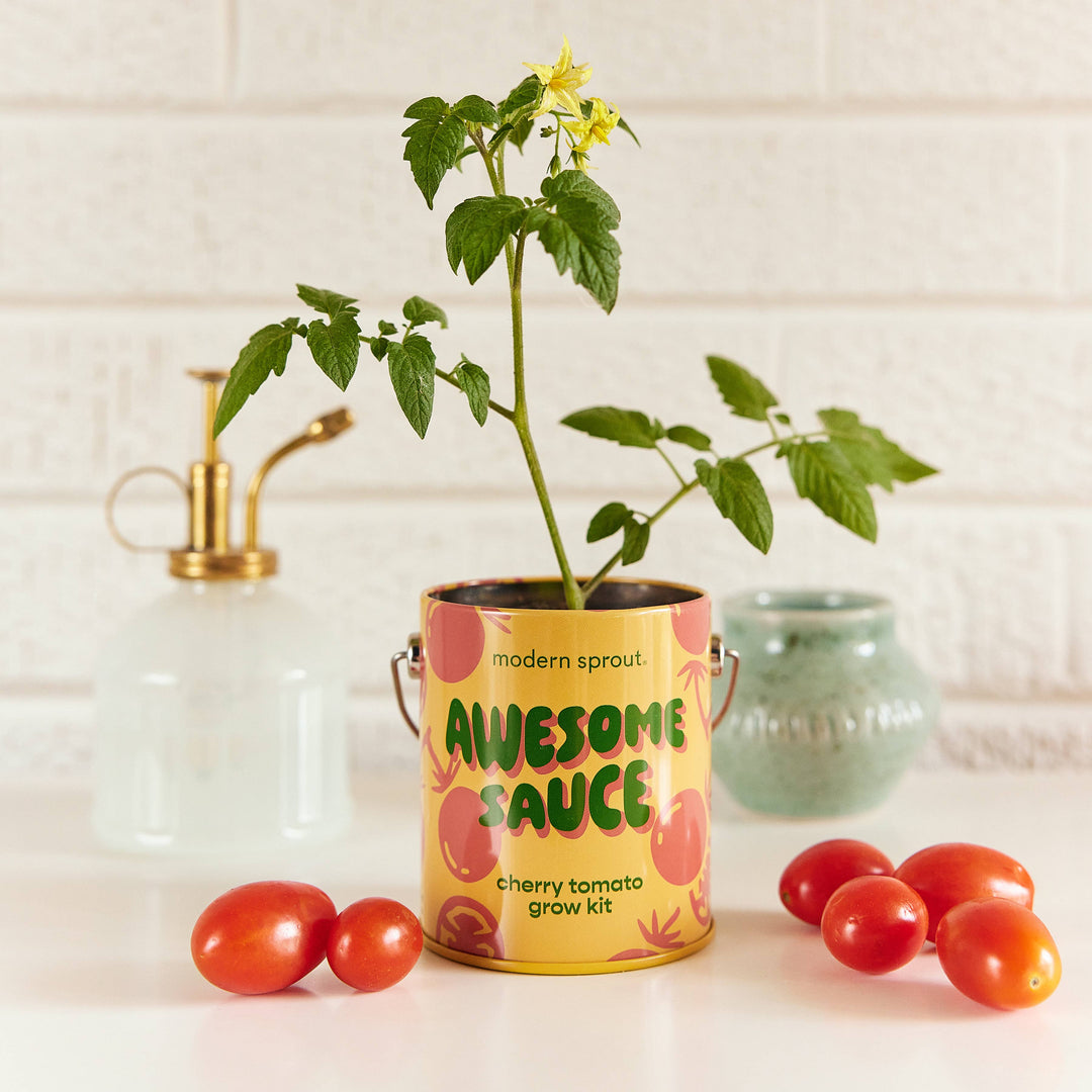 Complimentary Color Grow Kits: Awesome Sauce