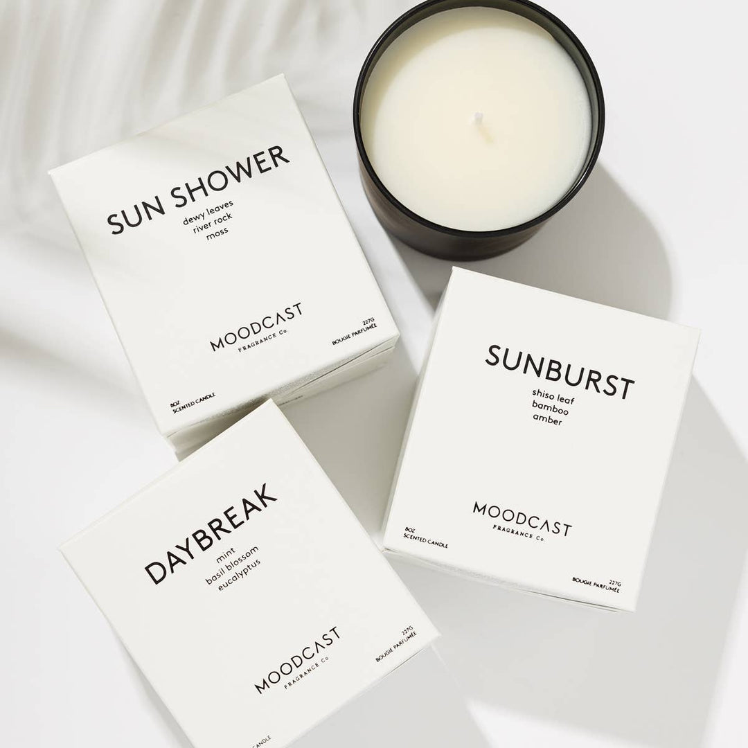 Night & Day Collection - 8oz Candles w/Testers -Starter Pack