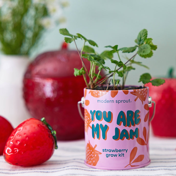 Complimentary Color Grow Kits: Stuck on You