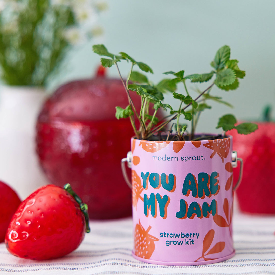 Complimentary Color Grow Kits: Awesome Sauce
