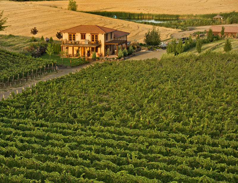Va Piano estate tasting house above the vineyard rows in Walla Walla