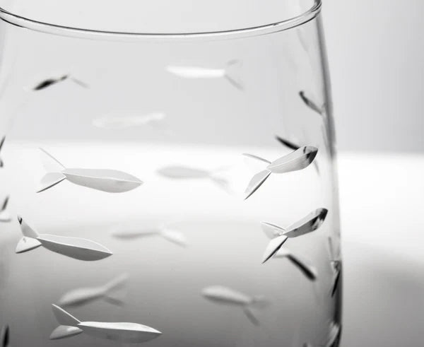 School of Fish 12oz White Wine Glass